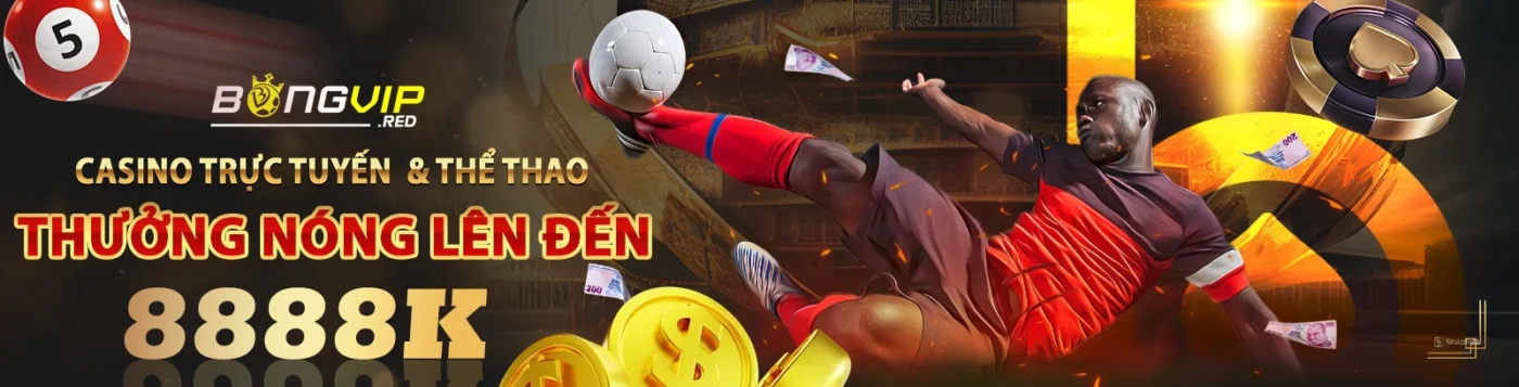 banner chinh