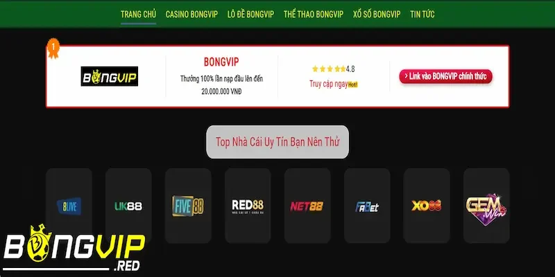 TRANG CHỦ 22 Giới thiệu về sân chơi Bongvip