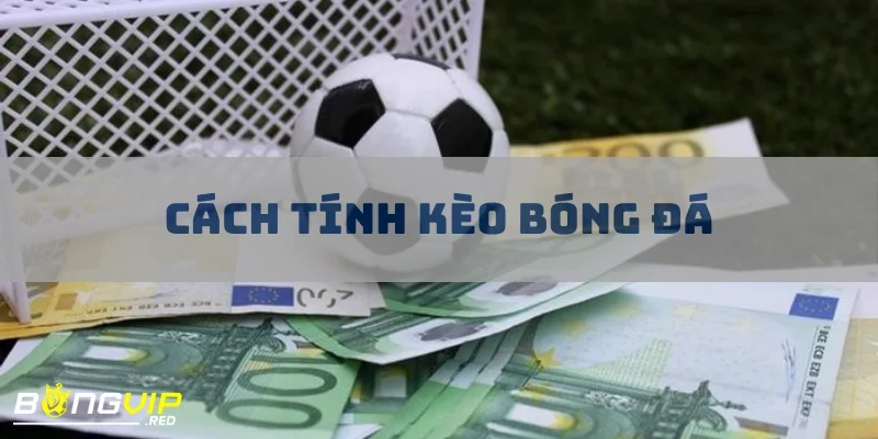 Cách Tính Kèo Bóng Đá - Bí Quyết Giúp Tối Ưu Chiến Lược Cược 5 cach tinh keo bong da