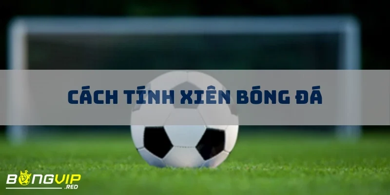cach tinh xien bong da
