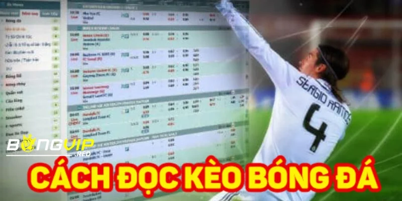 Cách Xem Kèo Bóng Đá Đúng Cách Để Tối Ưu Hóa Cơ Hội Thắng 1 cach xem keo bong da