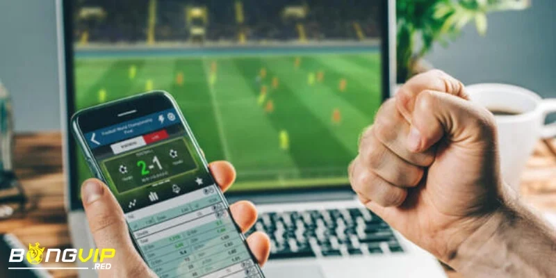 Giải Thích Tỷ Lệ Cá Cược Bóng Đá Và Yếu Tố Thay Đổi Kết Quả 2 nhung luu y quan trong khi ap dung ty le ca cuoc bong da