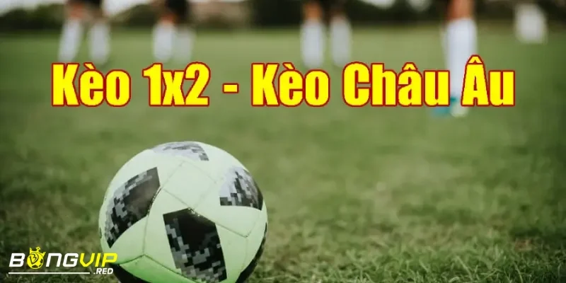 Soi Kèo Châu Âu - Cách Đọc Kèo Thông Minh Giúp Thắng Lớn 2 Phân biệt kèo 1X2 và các loại kèo trong soi kèo châu Âu