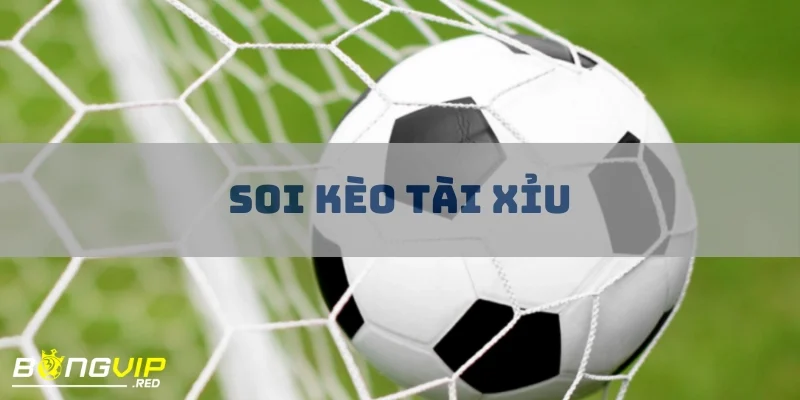 Soi Kèo Tài Xỉu - Cẩm Nang Hoàn Hảo Cho Người Chơi Cá Cược 3 soi keo tai