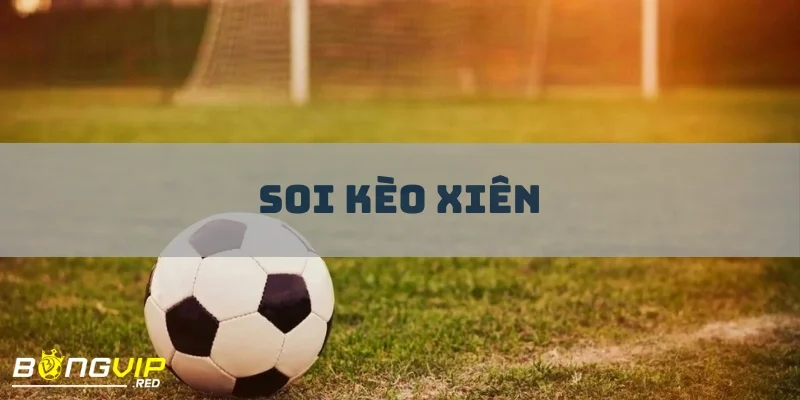 Soi Kèo Xiên - Chiến Thuật Lợi Hại Giúp Tăng Tỷ Lệ Thắng 2 soi keo