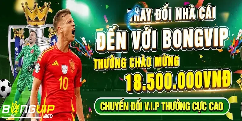 Đăng Ký Bongvip 2 Ưu đãi nổi bật khi đăng ký Bongvip trở thành hội viên